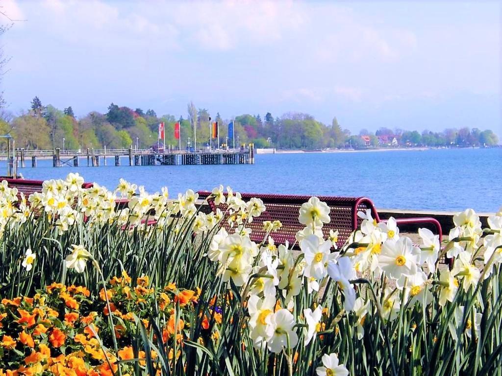 Bodensee Apartment Kressbronn "Seeland" Kressbronn am Bodensee Kültér fotó